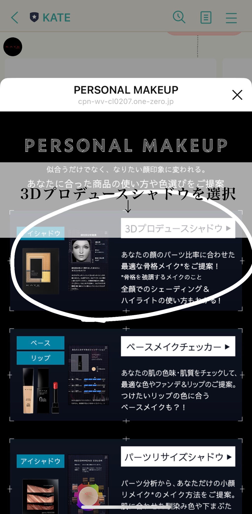 3Dプロデュースシャドウ/KATE/アイシャドウパレットを使ったクチコミ(3枚目)