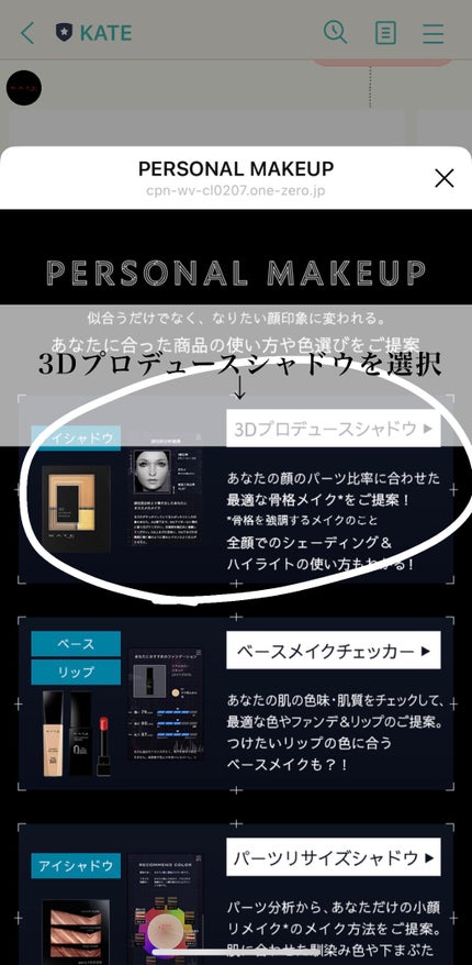 3Dプロデュースシャドウ/KATE/アイシャドウパレットを使ったクチコミ(3枚目)