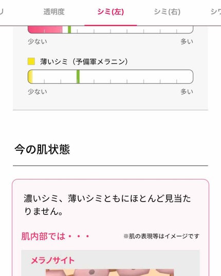 肌パシャ/SHISEIDO/その他を使ったクチコミ(2枚目)
