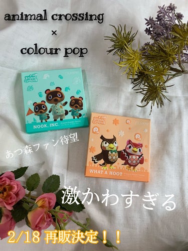 Nook Inc/ColourPop/アイシャドウパレットを使ったクチコミ（1枚目）