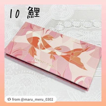 エクスプローラ12色 動物アイシャドウパレット/PERFECT DIARY/アイシャドウパレットを使ったクチコミ(2枚目)