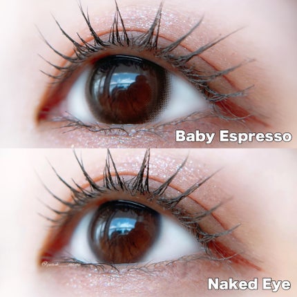 TOPARDS 1day/TOPARDS/ワンデー(1DAY)カラコンを使ったクチコミ(4枚目)