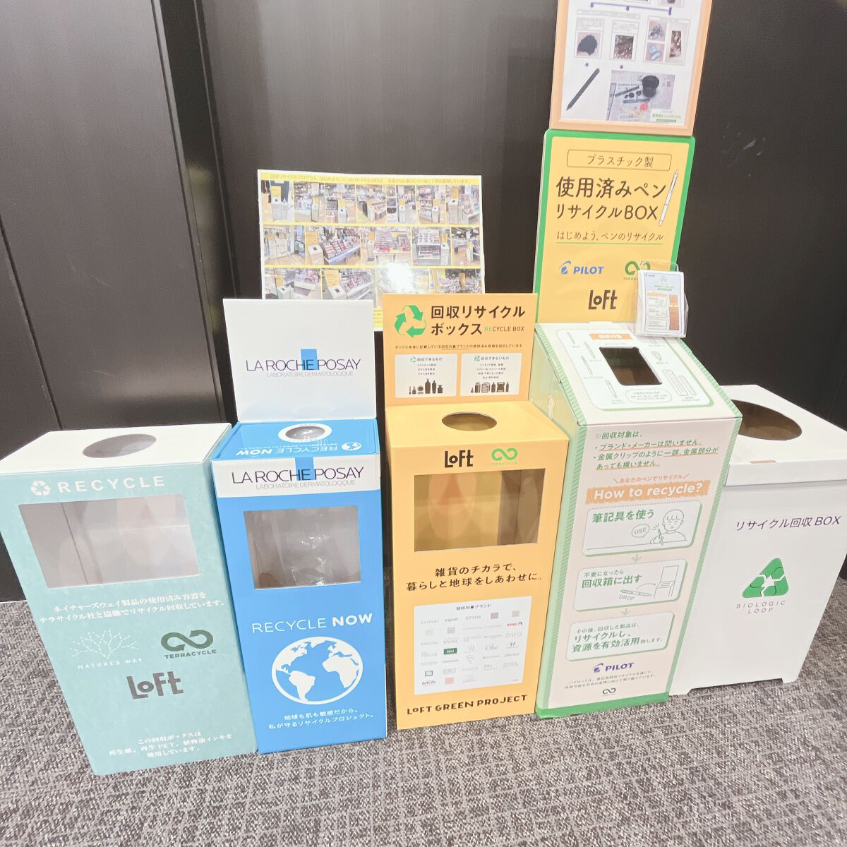 Machiko@フォロバします♡ on LIPS 「素敵なご縁を頂き念願のロフトグリーンプロジェクト~サステナブル..」(9枚目)