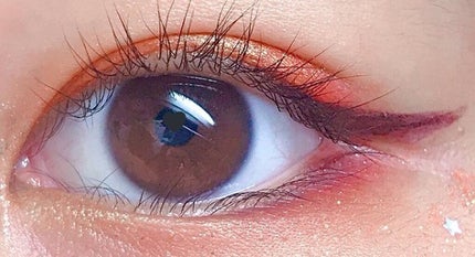 カラーリキッドアイライナー/ZEESEA/リキッドアイライナーを使ったクチコミ(1枚目)