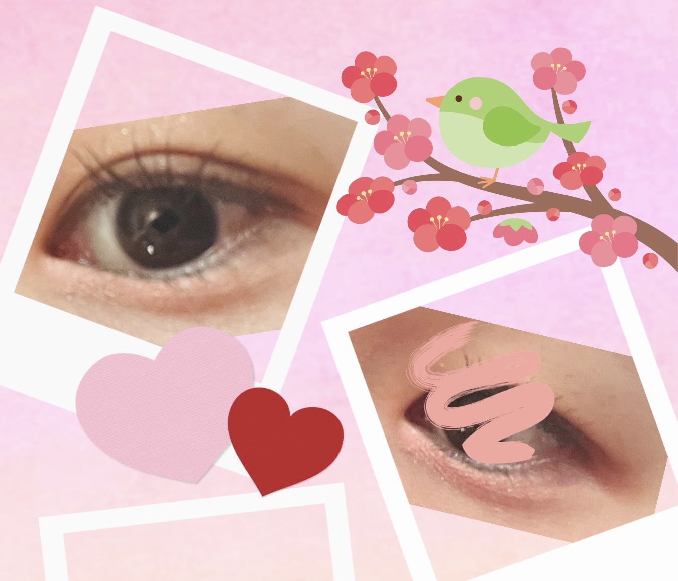 プランぷくコーデアイズ/キャンメイク/パウダーアイシャドウを使ったクチコミ（3枚目）