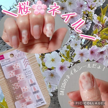 DAISO ジェルネイルシールのクチコミ「
そろそろ桜の季節🌸
　…という事で、#桜ネイル にしてみました😊💕


■DAISO
ジェル.....」（1枚目）