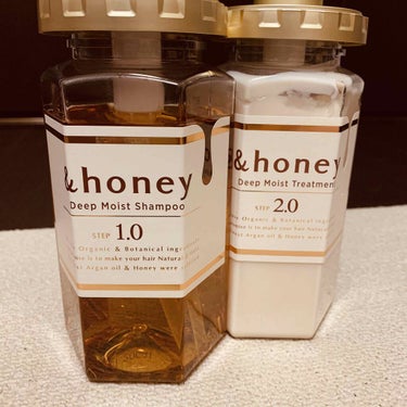 ディープモイスト シャンプー1.0／ヘアトリートメント2.0/&honey/シャンプー・コンディショナーを使ったクチコミ（2枚目）