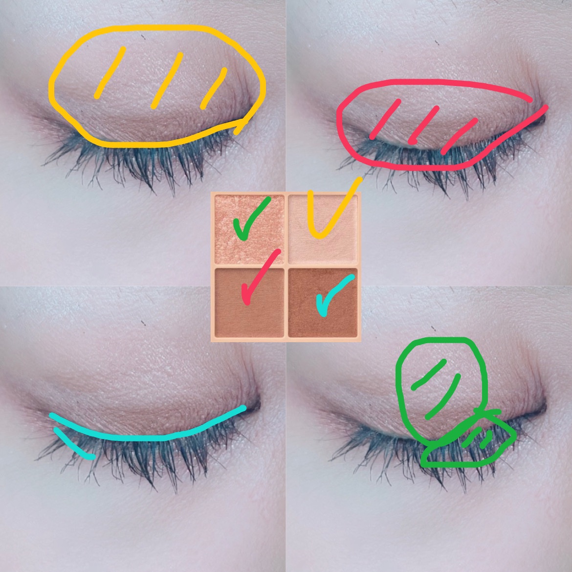 ベージュトーンアイシャドウ/CEZANNE/アイシャドウパレットを使ったクチコミ（2枚目）