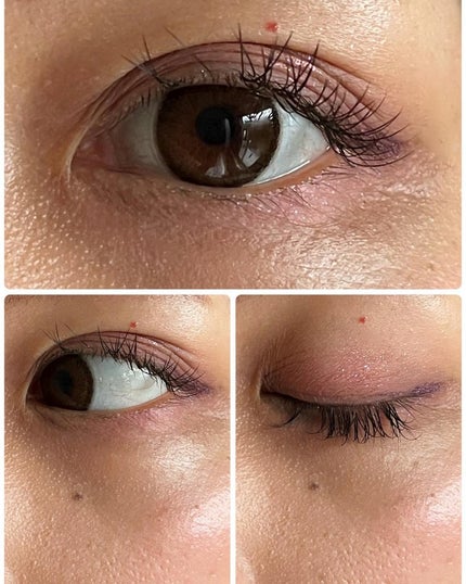 シャドウパレット/dasique/アイシャドウパレットを使ったクチコミ(5枚目)