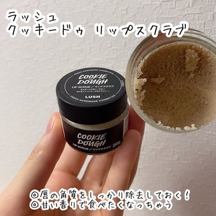 ハトムギ化粧水(ナチュリエ スキンコンディショナー R )/ナチュリエ/化粧水を使ったクチコミ(6枚目)