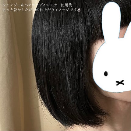 SS ビオリス ピュアレタッチ うねさぁら シャンプー/ヘアコンディショナー/SSビオリス/市販シャンプーを使ったクチコミ(6枚目)