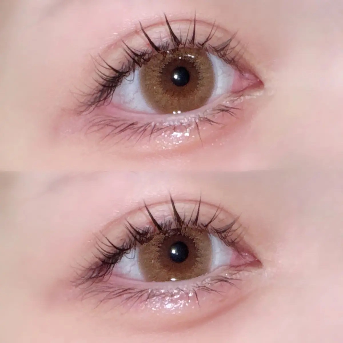 HARNE 1day/HARNE/ワンデー（１DAY）カラコンを使ったクチコミ（1枚目）