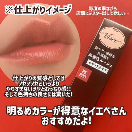 ネンマクフェイク リキッド/Visée/口紅を使ったクチコミ(7枚目)