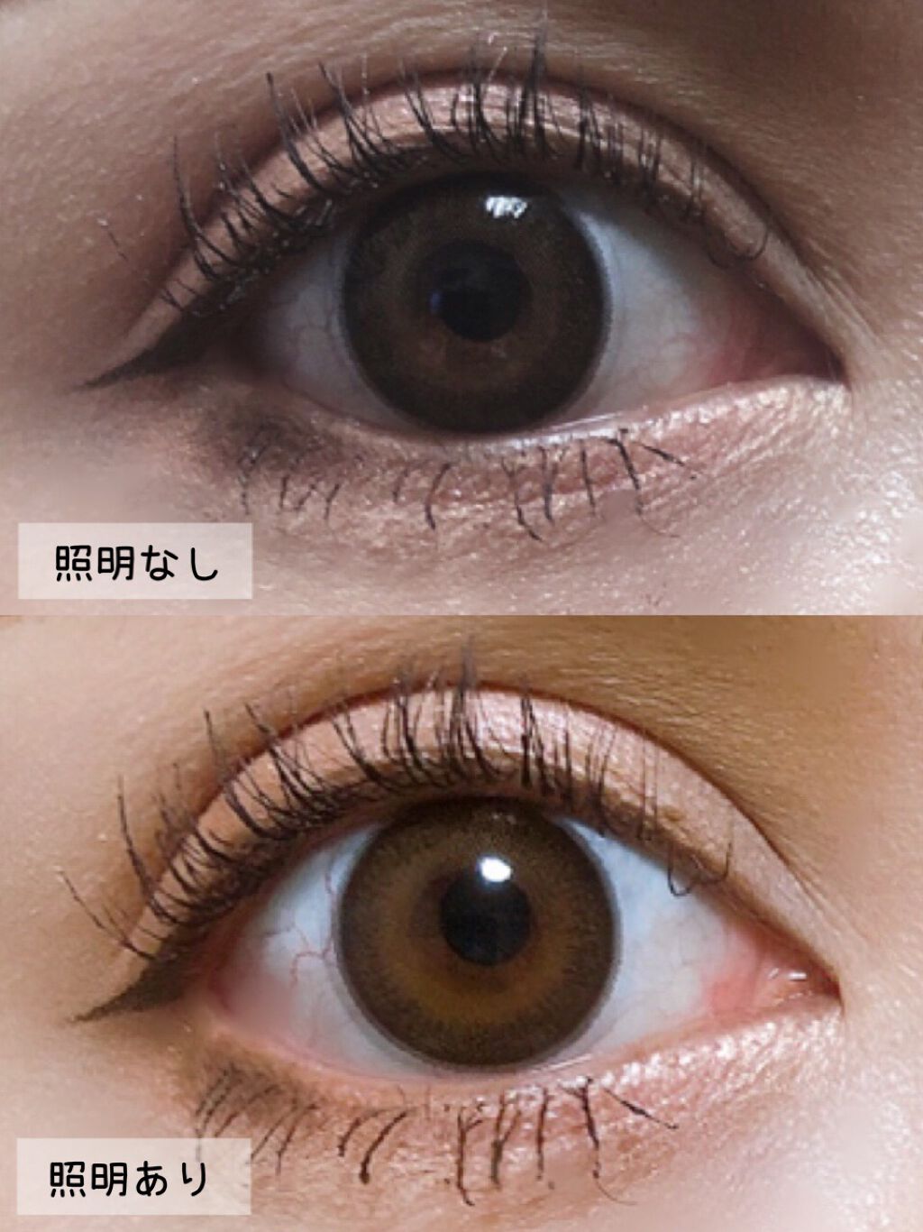 FLANMY 1day メープルシフォン/FLANMY/ワンデー（１DAY）カラコンを使ったクチコミ（3枚目）