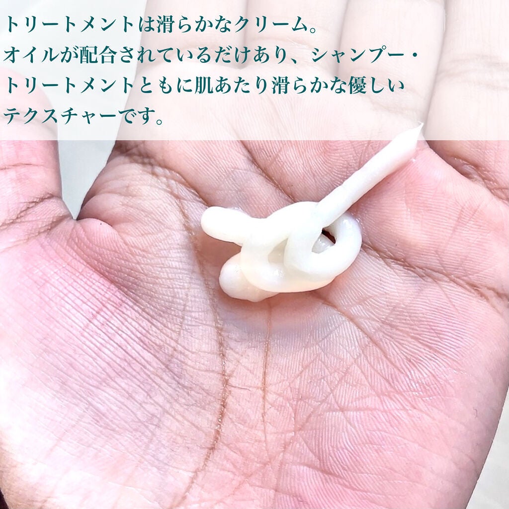 シャンプー/トリートメントR /CLAYGE/シャンプー・コンディショナーを使ったクチコミ(7枚目)