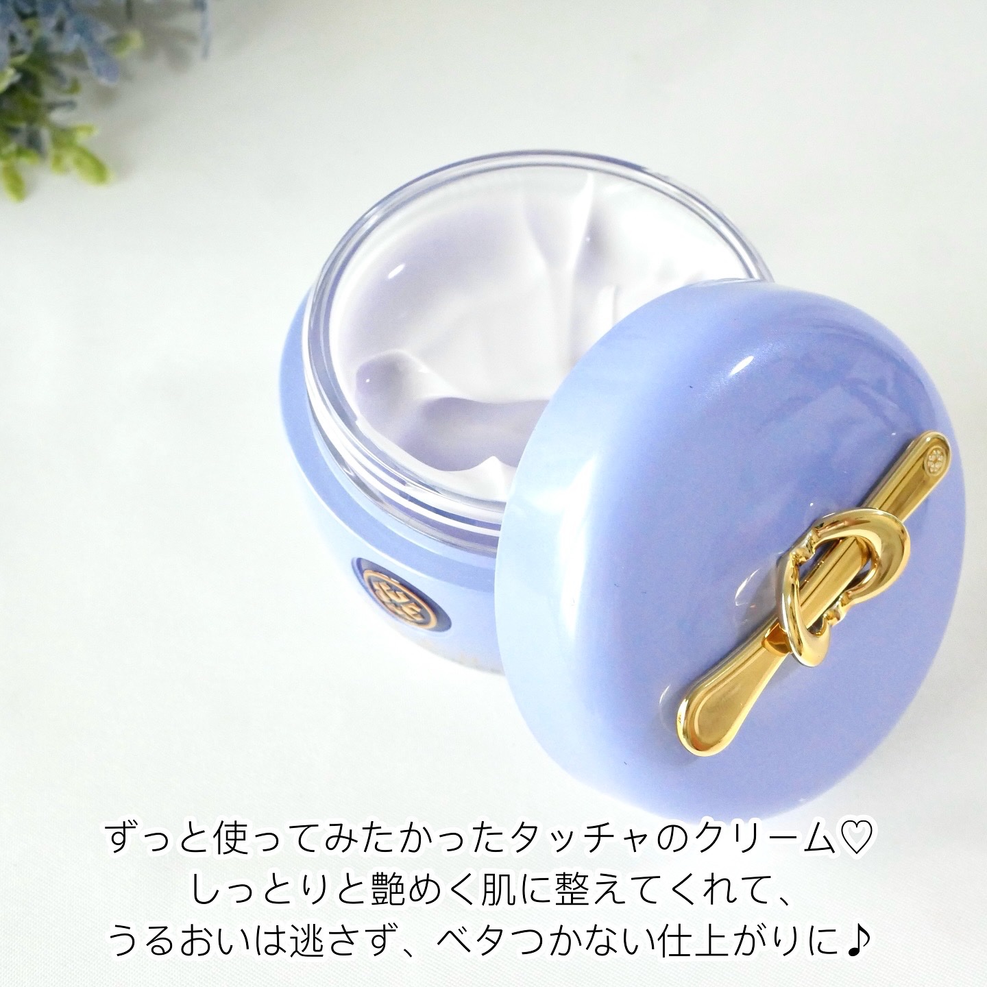 デューイースキン クリーム/タッチャ/フェイスクリームを使ったクチコミ（2枚目）