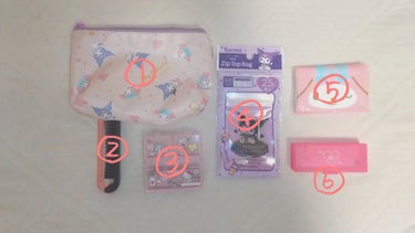 チャック付き整理袋/DAISO/その他を使ったクチコミ（2枚目）