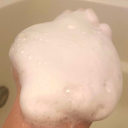 ハニー アイ ウォッシュド マイ ヘアー/ラッシュ/市販シャンプーを使ったクチコミ(4枚目)