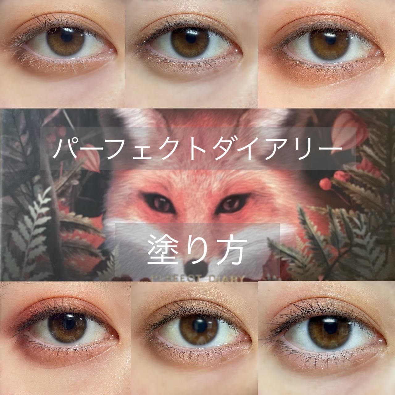 エクスプローラ12色 動物アイシャドウパレット/PERFECT DIARY/アイシャドウパレットを使ったクチコミ（1枚目）