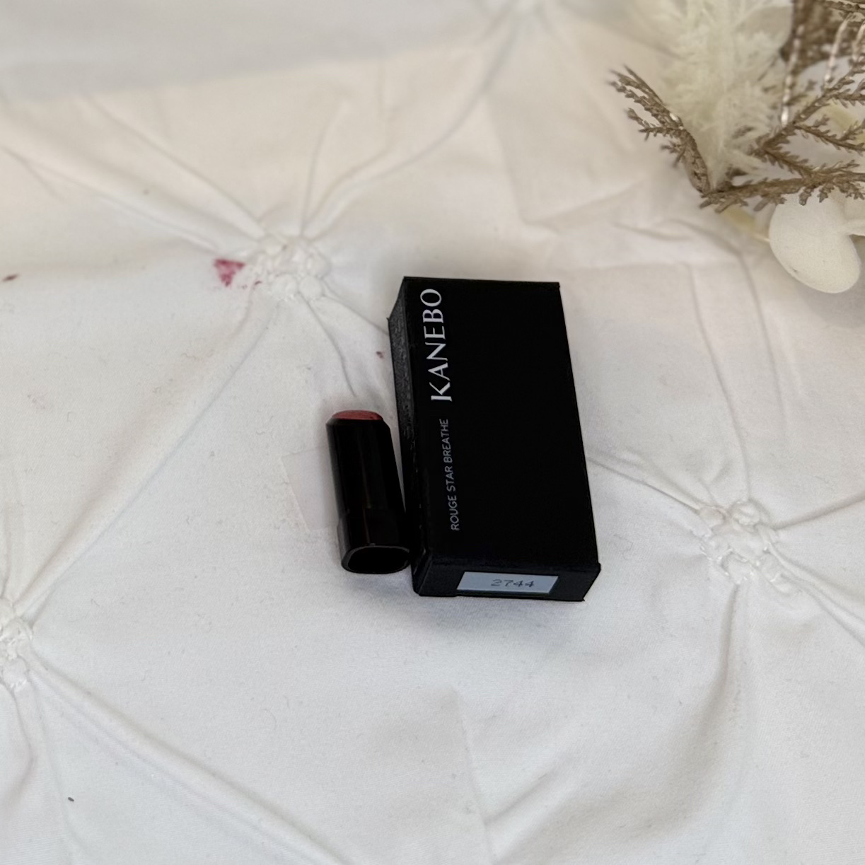 カネボウ ルージュスターブリーズ/KANEBO/口紅を使ったクチコミ（2枚目）
