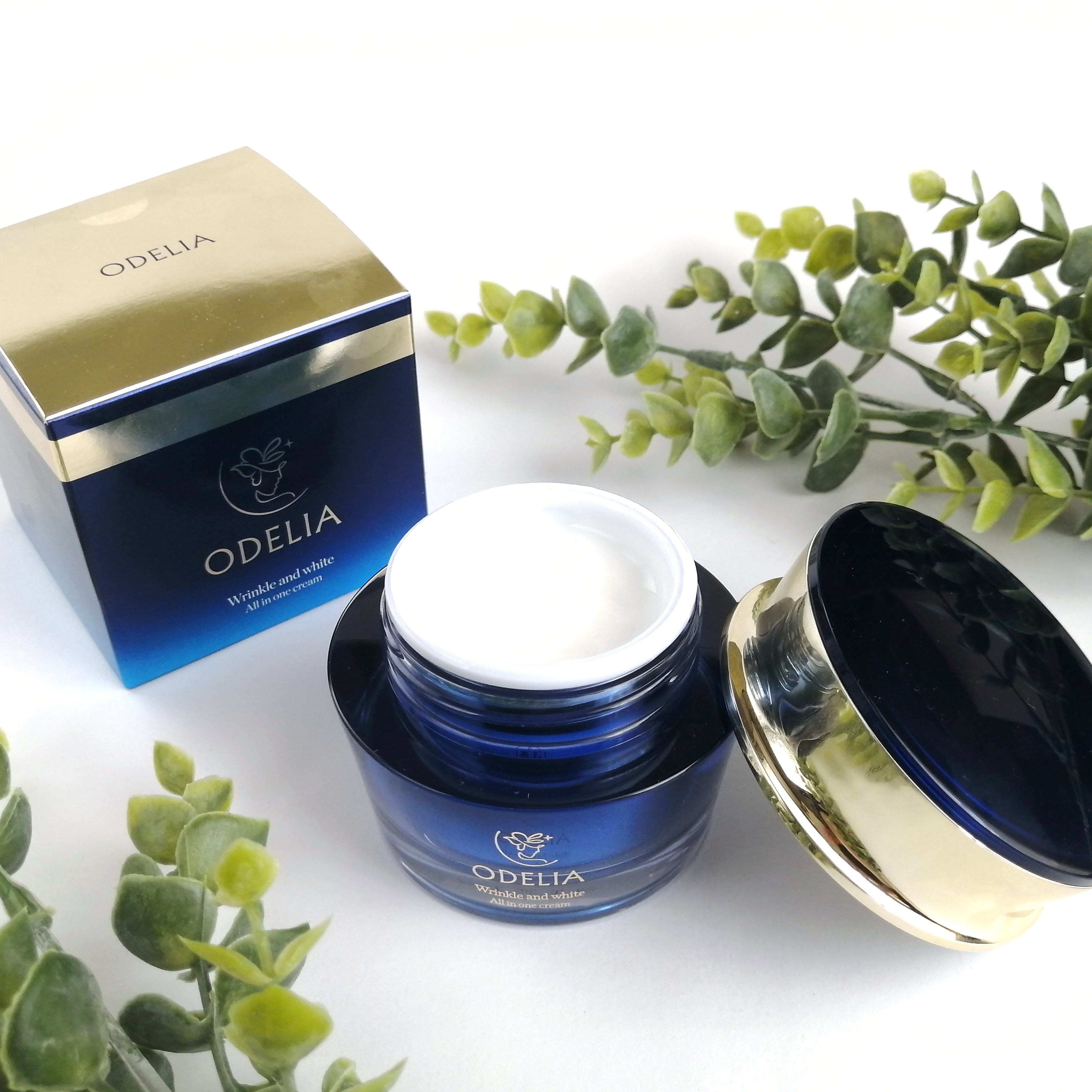 リンクル＆ホワイト オールインワンクリーム/ODELIA/オールインワン化粧品を使ったクチコミ（3枚目）