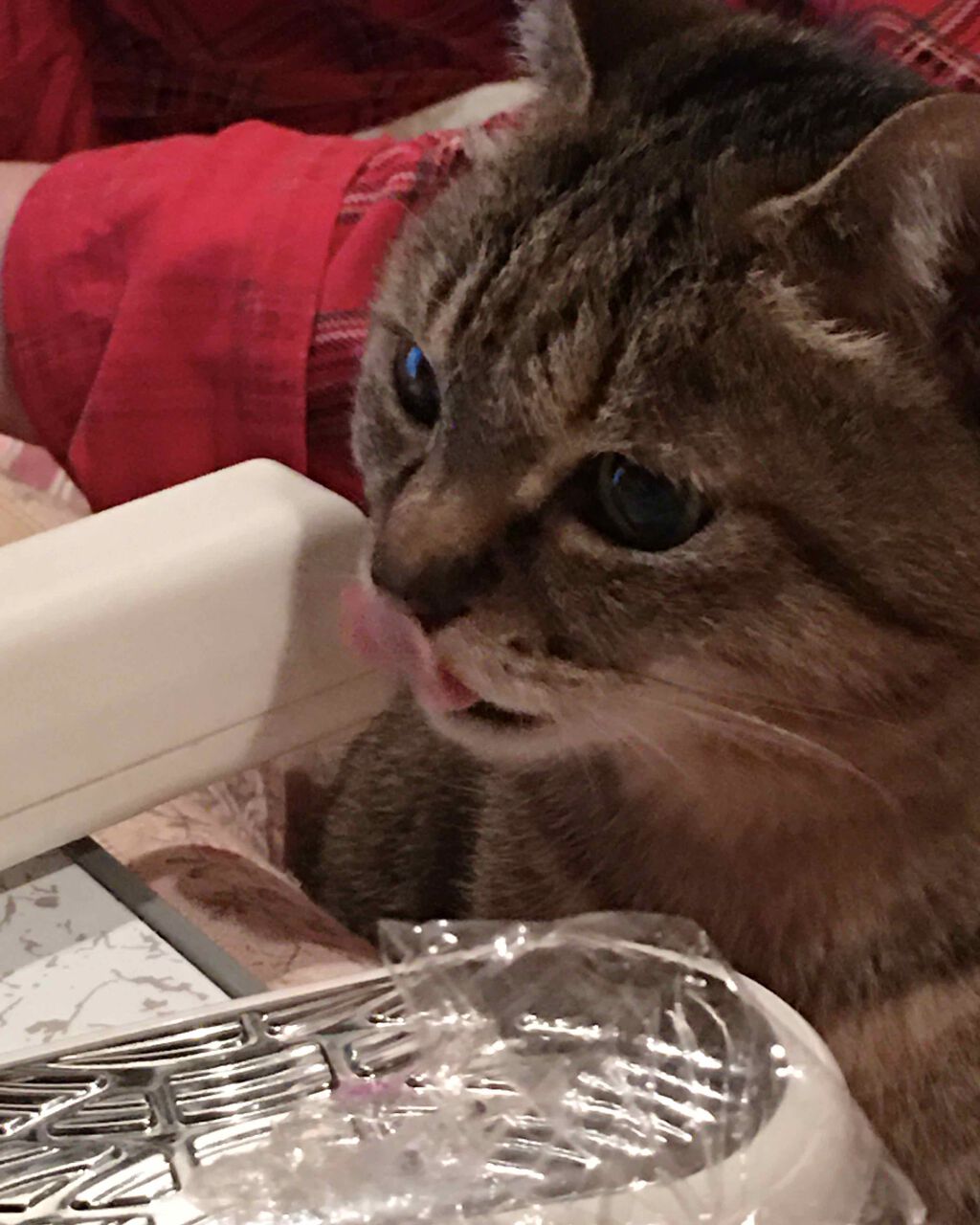 試してみた】ガルバニックボディスパ ニュースキンのリアルな口コミ