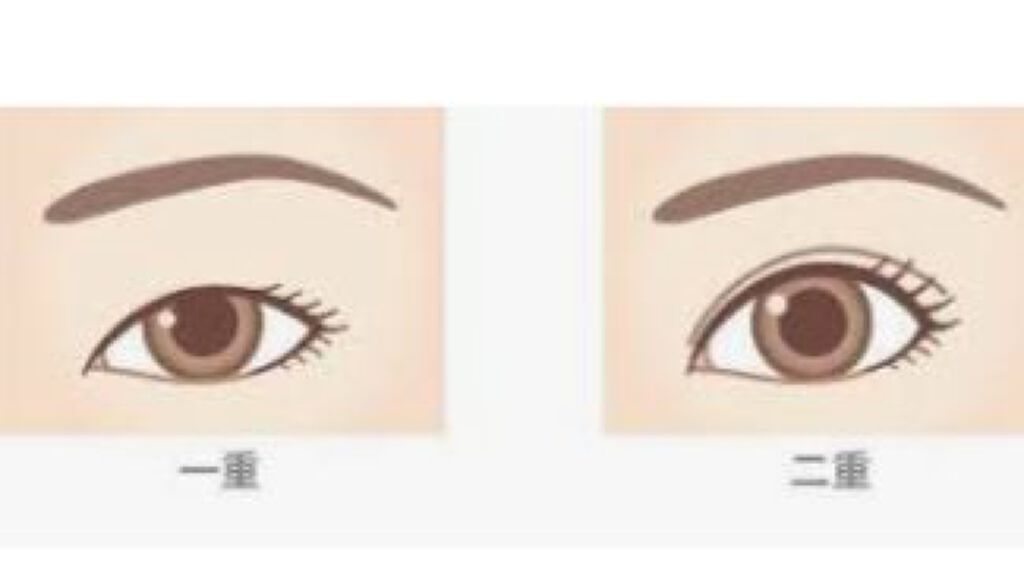 【旧品】マシュマロフィニッシュパウダー/キャンメイク/プレストパウダーを使ったクチコミ（2枚目）