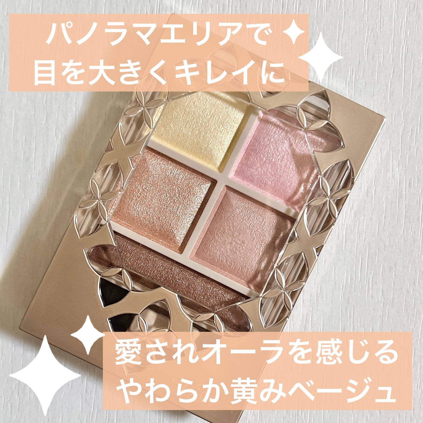 パノラマデザイン アイパレット/Visée/アイシャドウパレットを使ったクチコミ(1枚目)