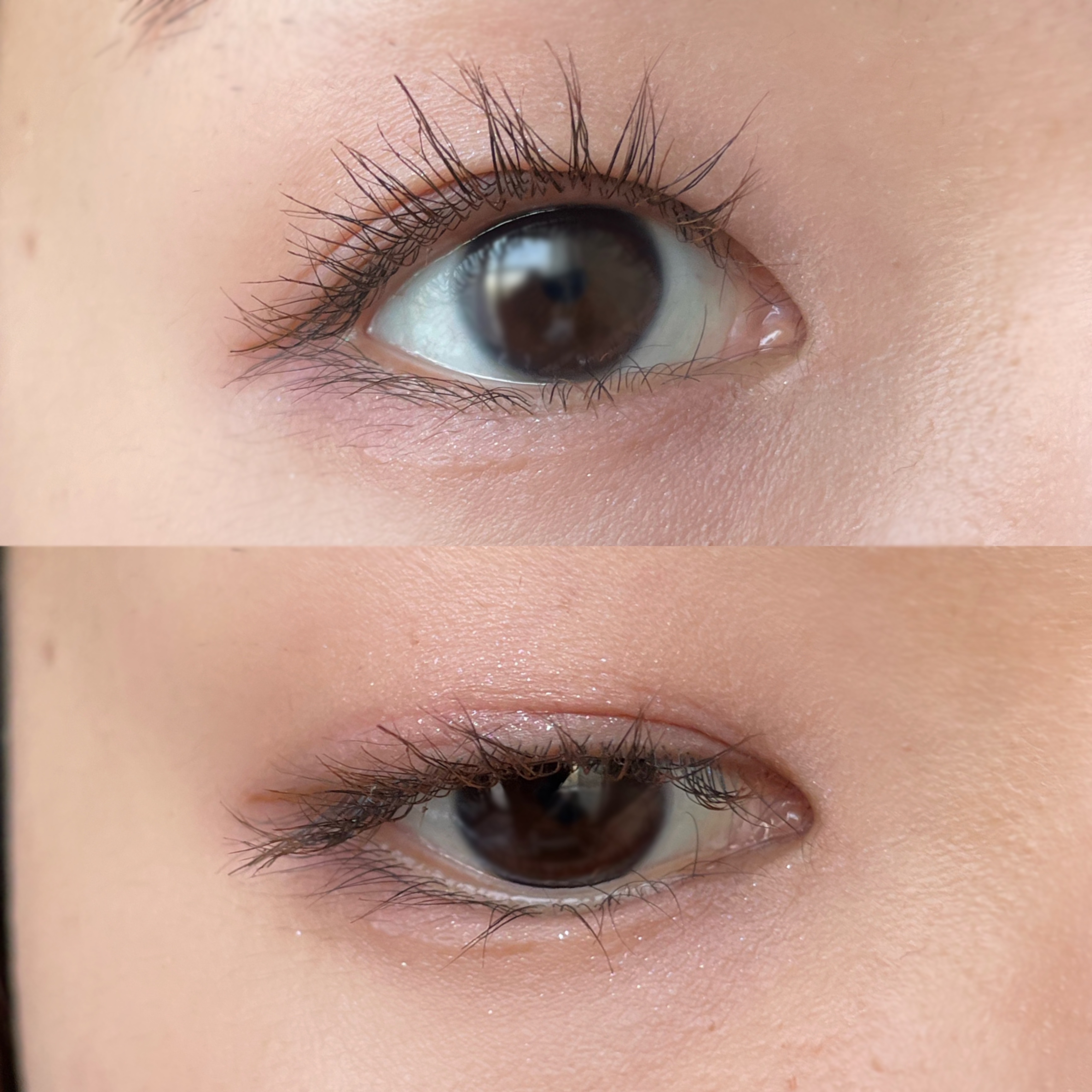 アイカラーレーション/LUNASOL/アイシャドウパレットを使ったクチコミ（2枚目）