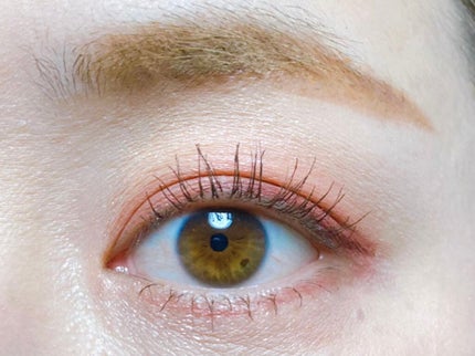 シルキースフレアイズ(マットタイプ)/キャンメイク/アイシャドウパレットを使ったクチコミ(2枚目)