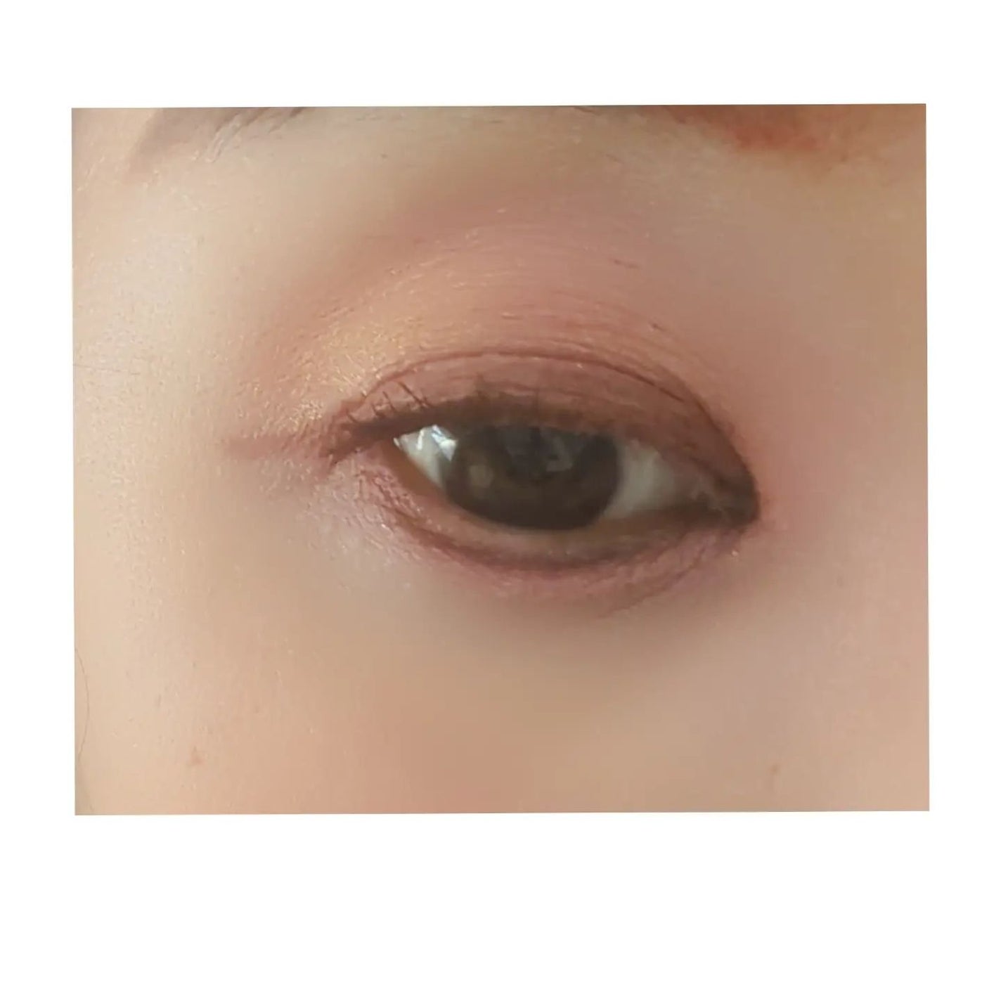 ジルスチュアート パステルペタル ブラッシュ/JILL STUART/パウダーチークを使ったクチコミ(5枚目)