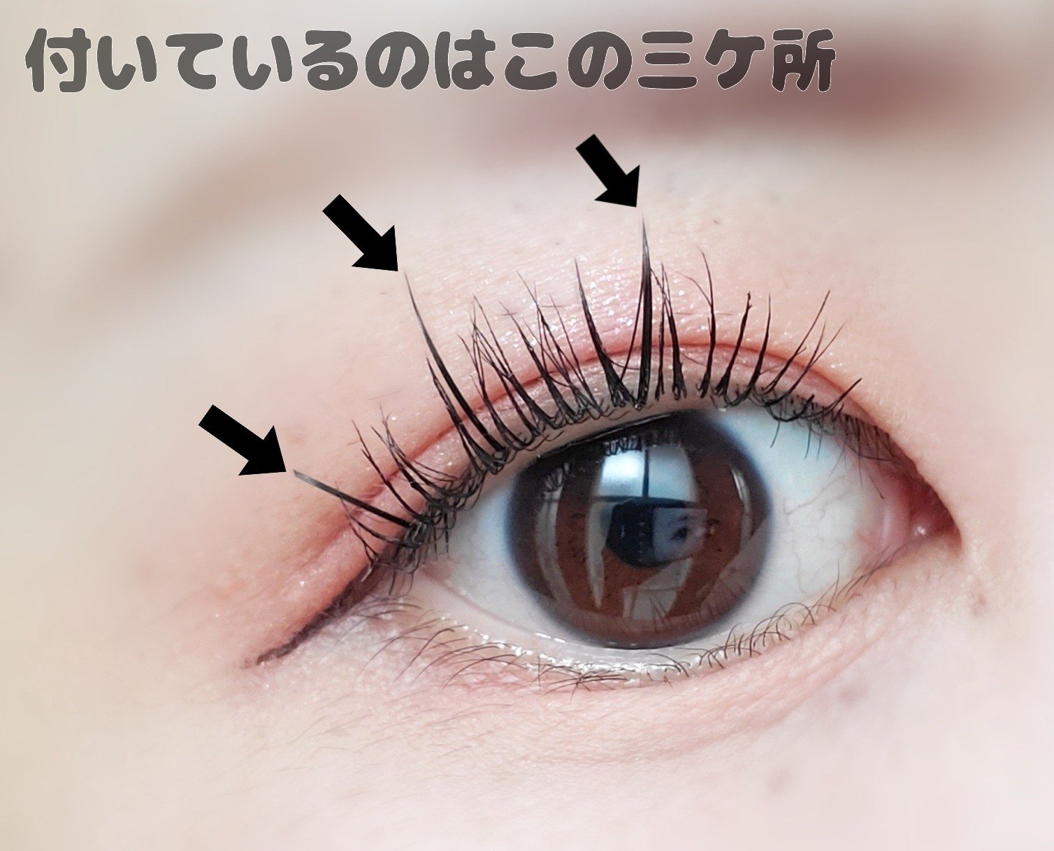 アイラッシュフィクサーEX 552/D-UP/つけまつげを使ったクチコミ（3枚目）