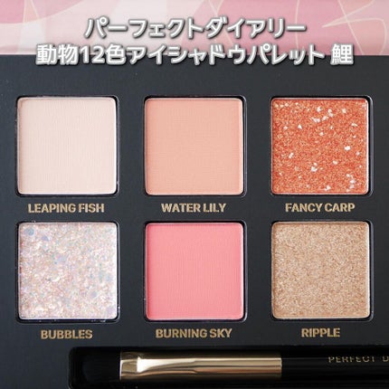エクスプローラ12色 動物アイシャドウパレット/PERFECT DIARY/アイシャドウパレットを使ったクチコミ(6枚目)
