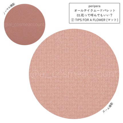 オール テイク ムード パレット(24AD)/PERIPERA/アイシャドウパレットを使ったクチコミ(3枚目)