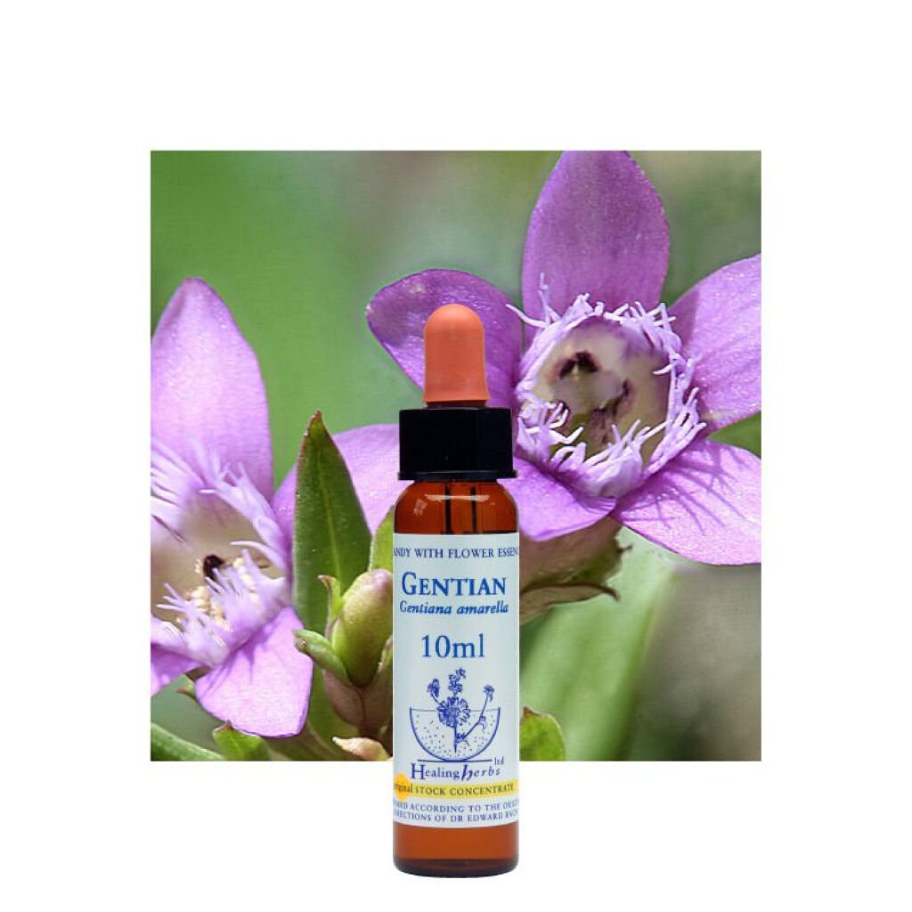 ヒーリングハーブフラワーエッセンス ゲンチアナ