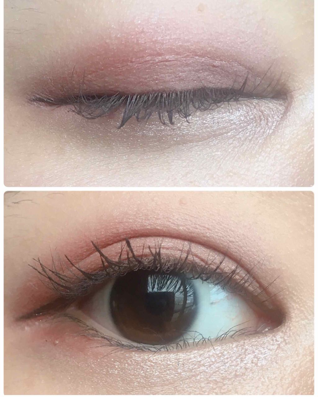 プロ アイ パレット/CLIO/アイシャドウパレットを使ったクチコミ(1枚目)