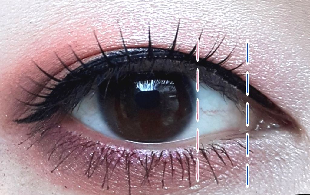 アイラッシュフィクサーEX 552/D-UP/つけまつげを使ったクチコミ（3枚目）