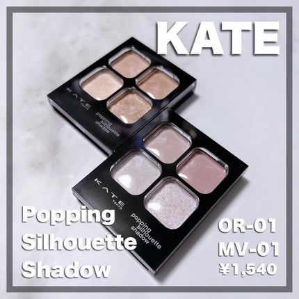 ケイト ポッピングシルエットシャドウ/KATE/アイシャドウパレットを使ったクチコミ(2枚目)