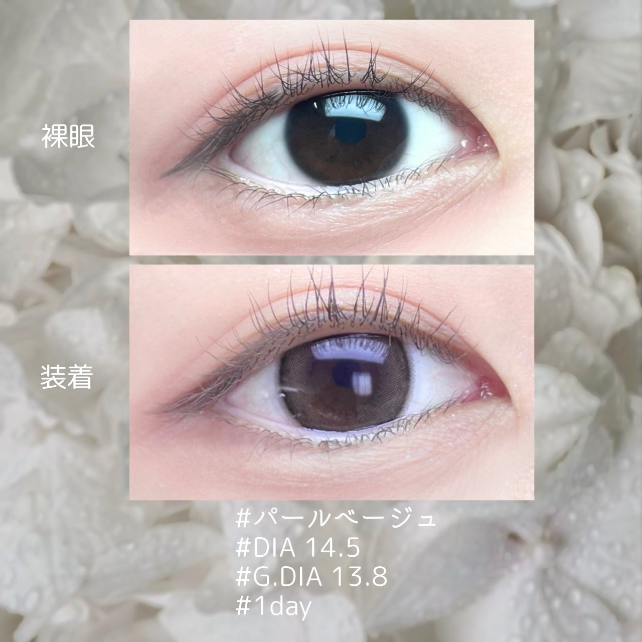 エバーカラーワンデー ナチュラル/エバーカラー/ワンデー(1DAY)カラコンを使ったクチコミ(2枚目)