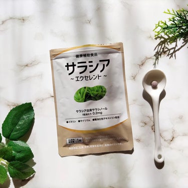 エクセレントメディカル  サラシアエクセレントのクチコミ「食べる前のお守りに✨
＼健康補助食品『サラシアエクセレント』／

この時期はイベントも多いし🎄.....」（1枚目）