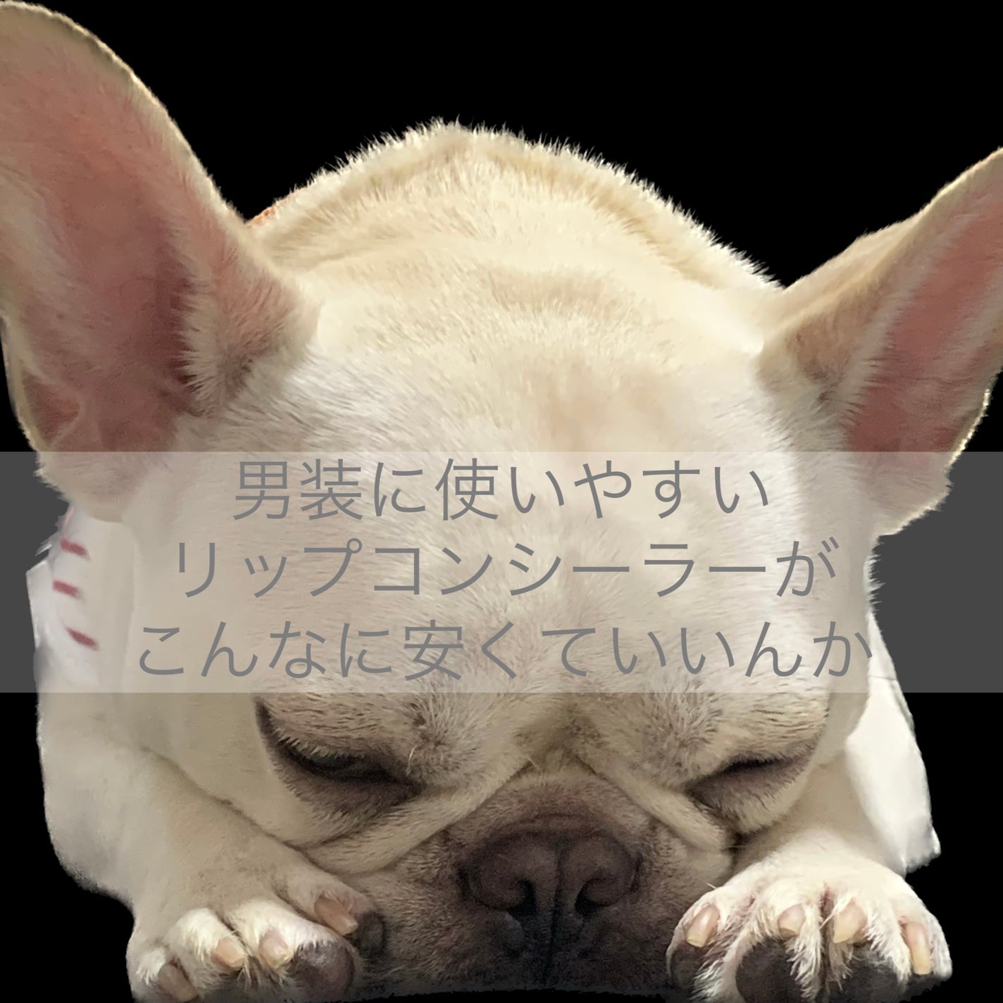 クリーム日報リップクリーム/FLORTTE/口紅を使ったクチコミ(1枚目)