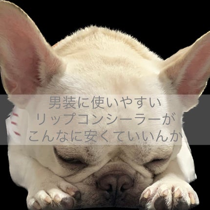 クリーム日報リップクリーム/FLORTTE/口紅を使ったクチコミ(1枚目)