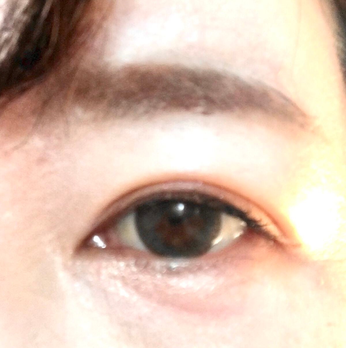 プロ シングル シャドウ/CLIO/単色アイシャドウを使ったクチコミ(3枚目)