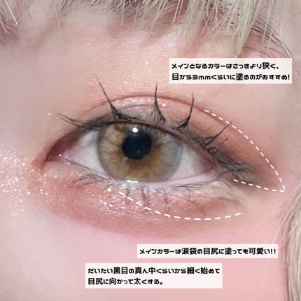 トーンアップアイシャドウ/CEZANNE/アイシャドウパレットを使ったクチコミ(6枚目)