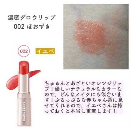 濃密グロウリップ 004 ペッパーベリー/BLEND BERRY/リップグロスの画像