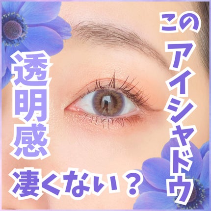 トーンアップアイシャドウ/CEZANNE/アイシャドウパレットを使ったクチコミ(1枚目)