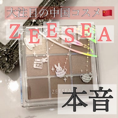 クォーツ 9色アイシャドウパレット（ドリームランドアイシャドウ）/ZEESEA/アイシャドウパレットを使ったクチコミ（1枚目）