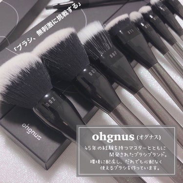 時空の歪み🌓韓国コスメ/中国コスメ on LIPS 「Ohgnus[8pcBlushSet]⁡⁡“ブラシ、無刺激に挑..」（2枚目）