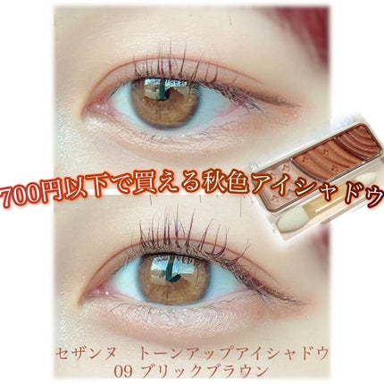 トーンアップアイシャドウ/CEZANNE/アイシャドウパレットを使ったクチコミ(1枚目)