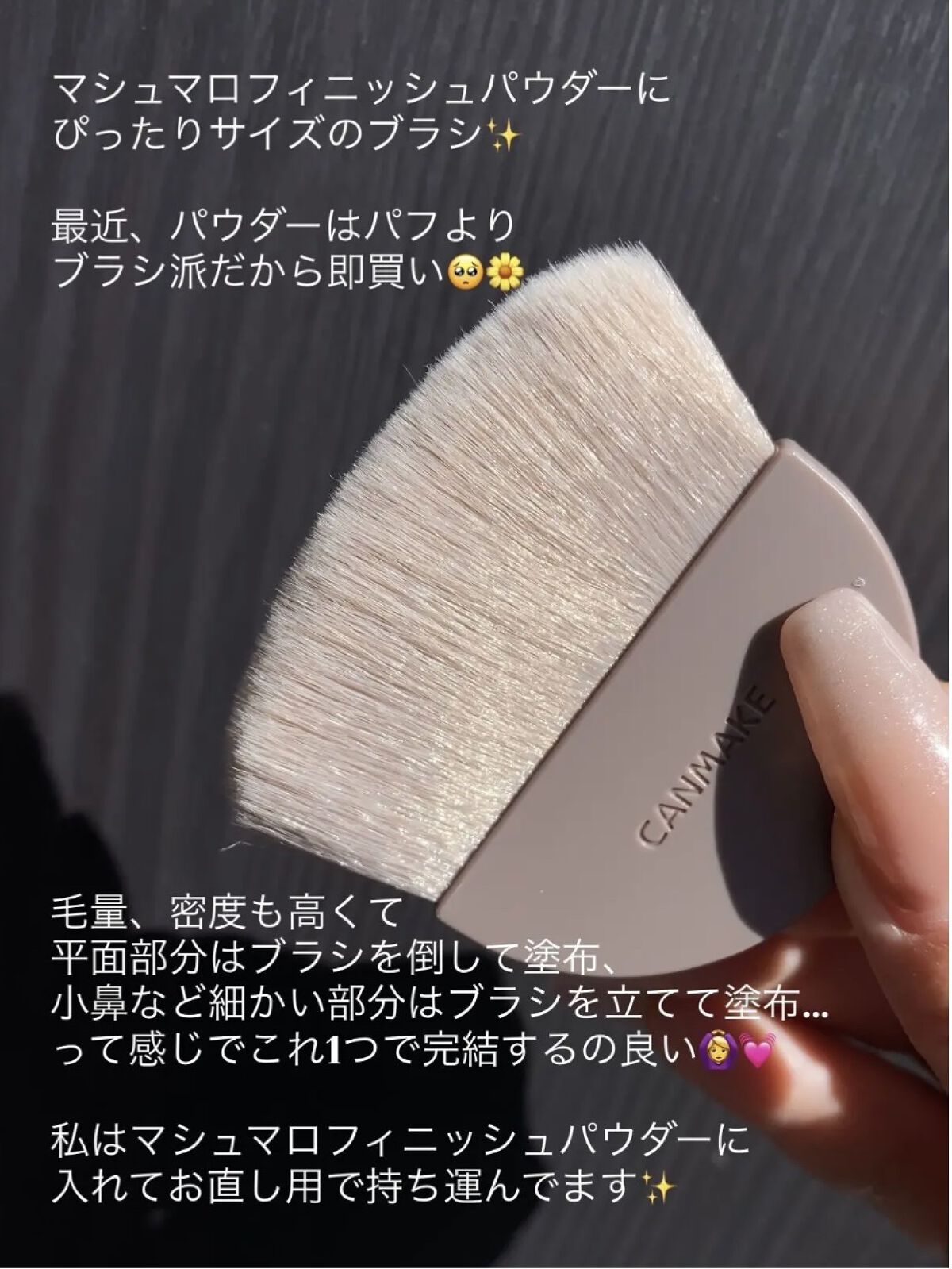 ラ プードル30周年限定パウダー /ブラシセット